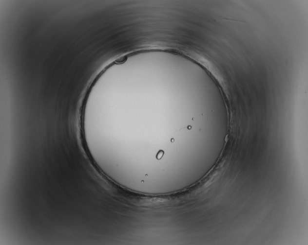 X0000094171187200711161702