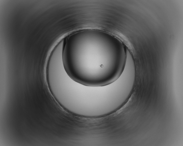 X0000094171188200711161702