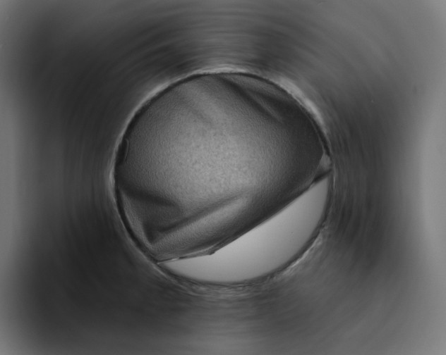 X0000094171189200711161702