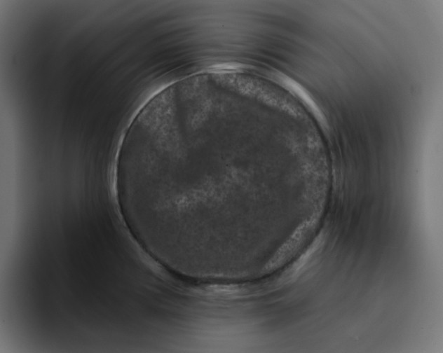 X0000094171194200711161701