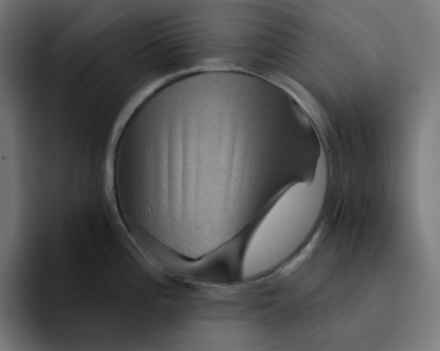 X0000094171196200711161701