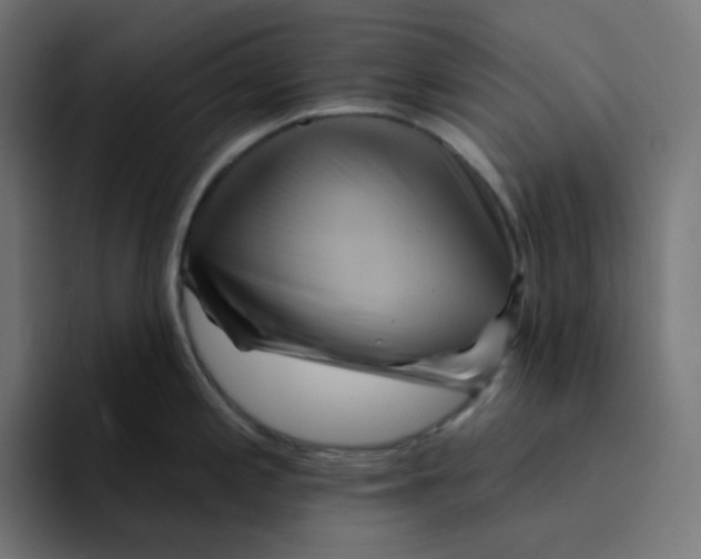 X0000094171197200711161701