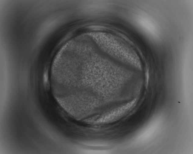 X0000094171198200711161701