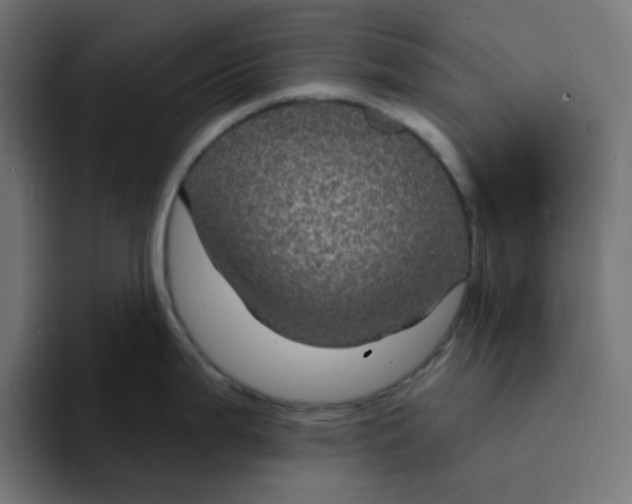 X0000094171199200711161701