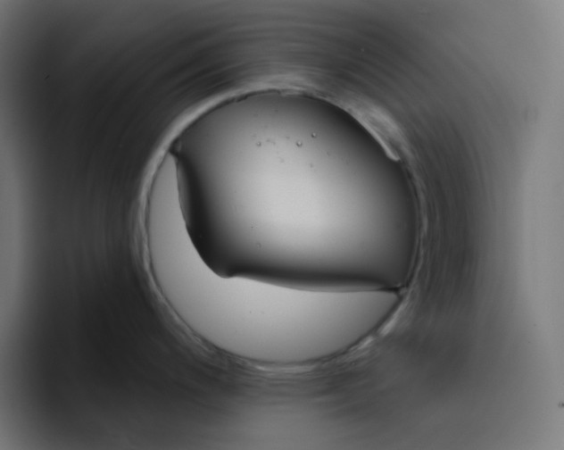 X0000094171200200711161701