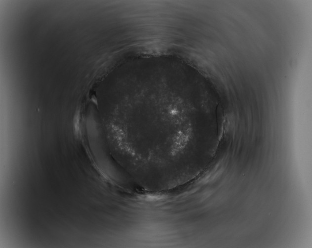 X0000094171202200711161701