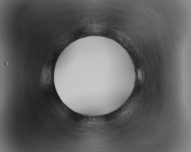 X0000094171203200711161701