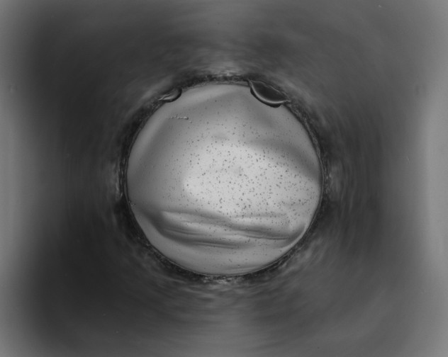 X0000094171205200711161701