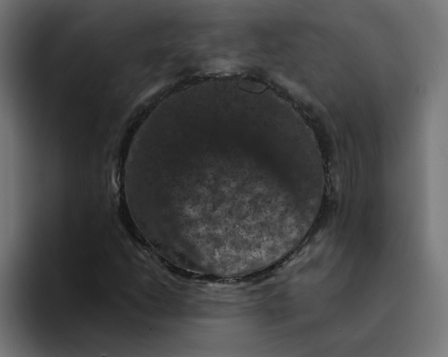 X0000094171206200711161701