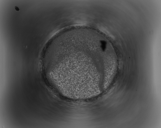 X0000094171208200711161701