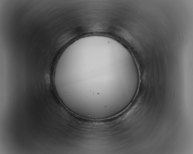 X0000094171209200711161701