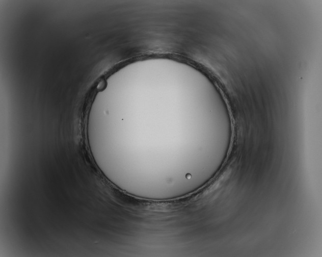 X0000094171211200711161701