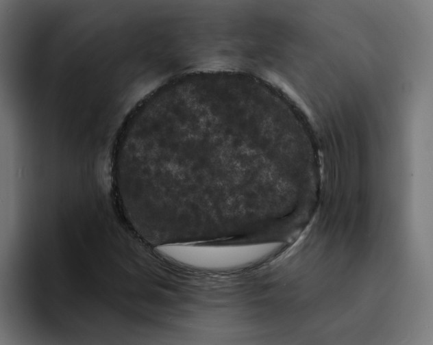 X0000094171213200711161701