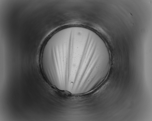 X0000094171216200711161701