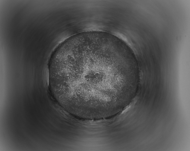 X0000094171219200711161701