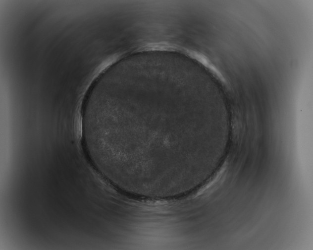 X0000094171221200711161701