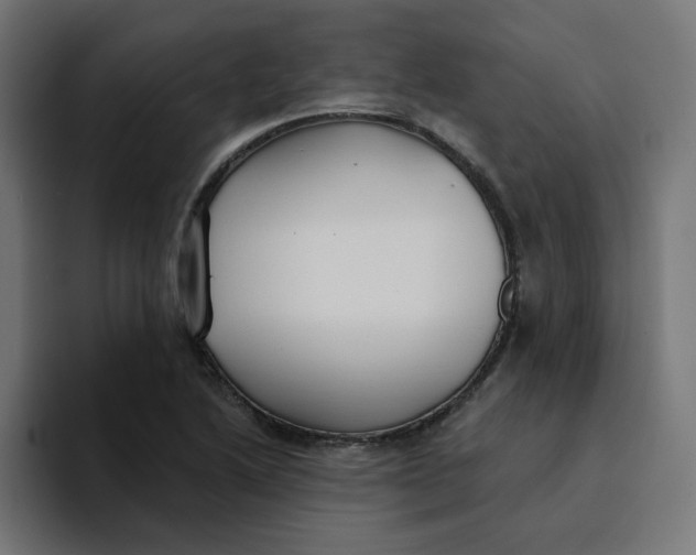 X0000094171222200711161701