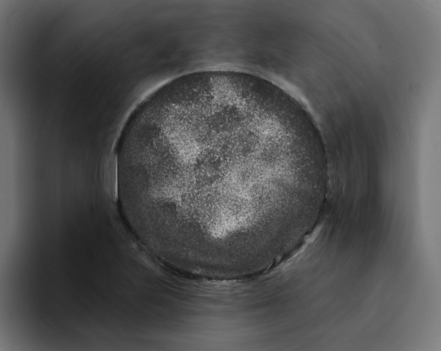 X0000094171223200711161701