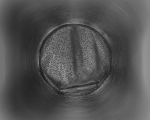 X0000094171224200711161701