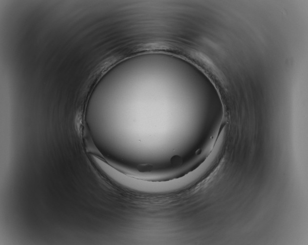 X0000094171225200711161701