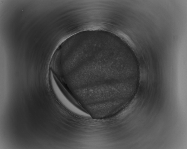 X0000094171226200711161701