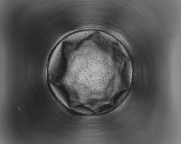 X0000094171228200711161701