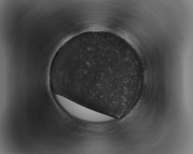 X0000094171229200711161701