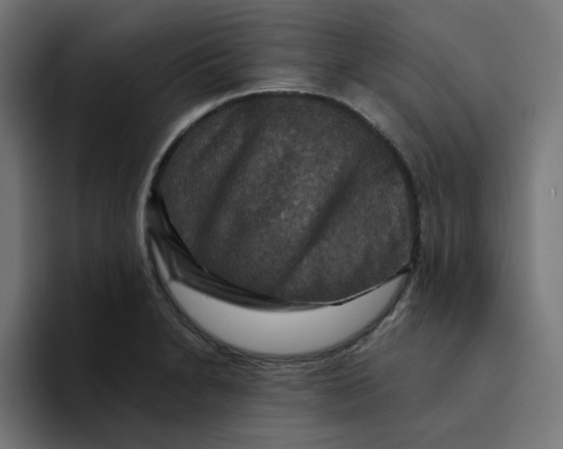 X0000094171230200711161701