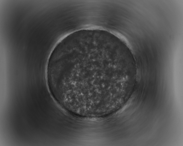 X0000094171231200711161701