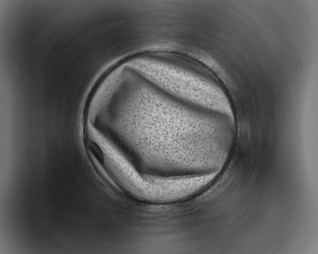 X0000094171232200711161701