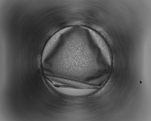 X0000094171233200711161701