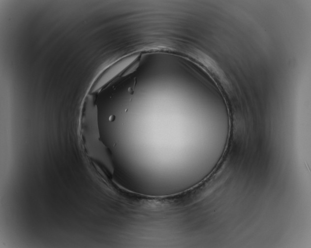 X0000094171234200711161701