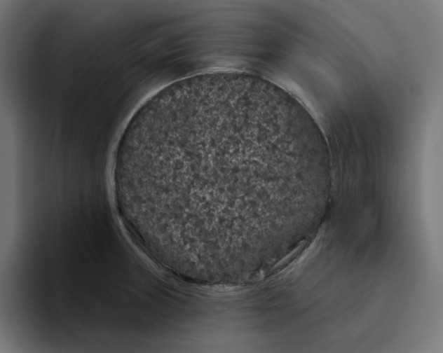 X0000094171235200711161701