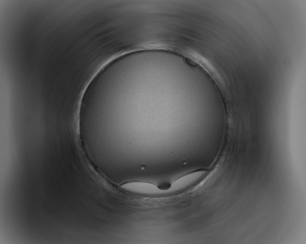 X0000094171236200711161701