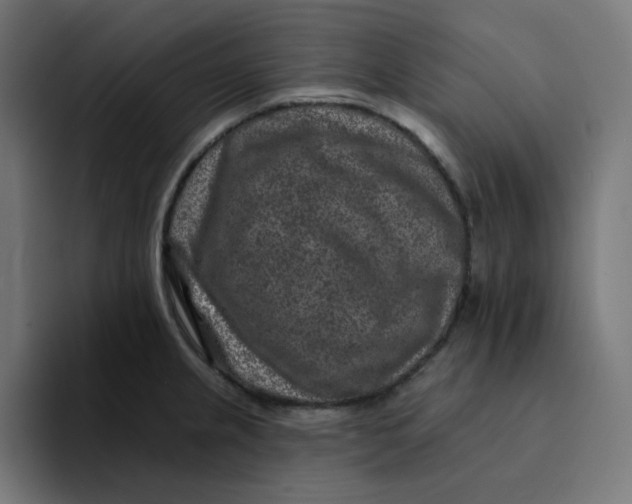 X0000094171237200711161701