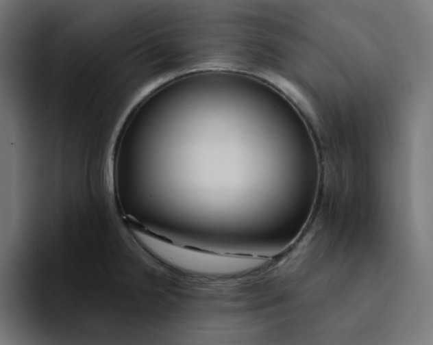 X0000094171238200711161701