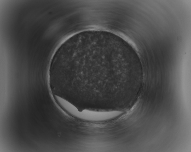 X0000094171239200711161701