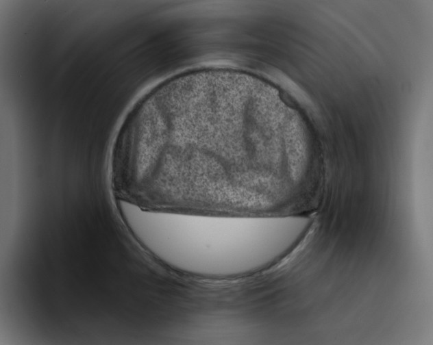 X0000094171240200711161701