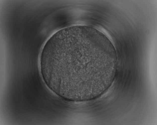 X0000094171243200711161701