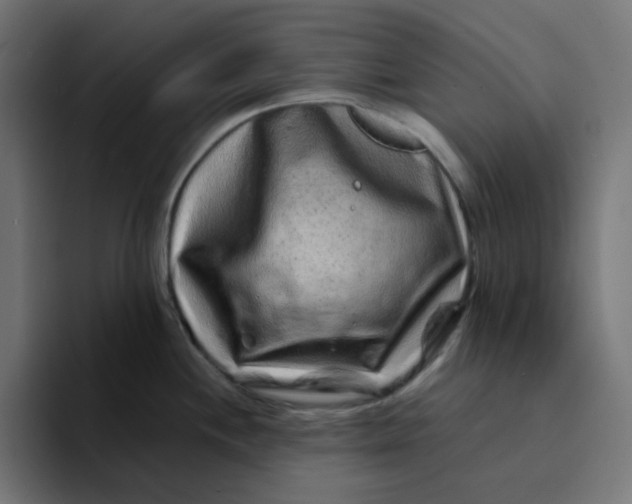 X0000094171244200711161701