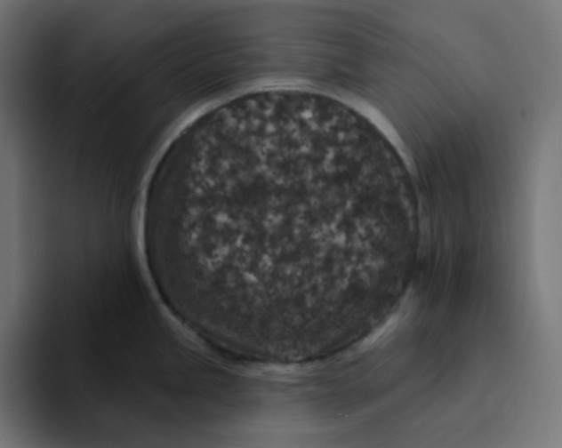 X0000094171245200711161701