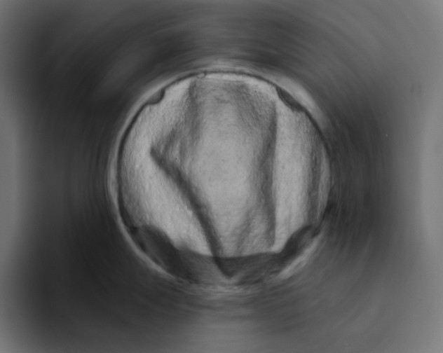 X0000094171247200711161701