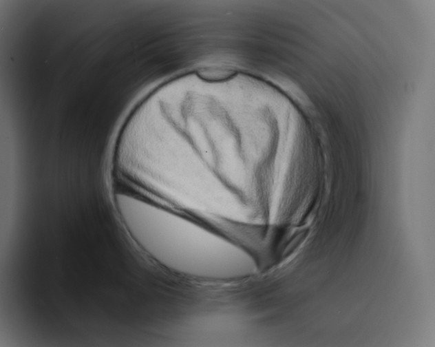 X0000094171248200711161701