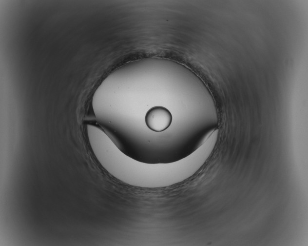 X0000094171249200711161701