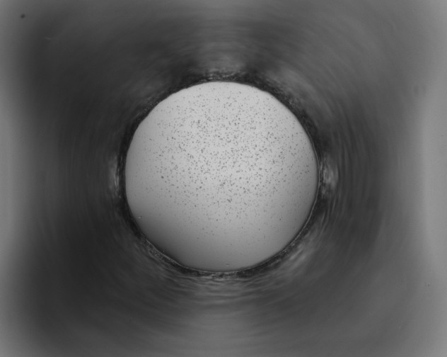 X0000094171252200711161701