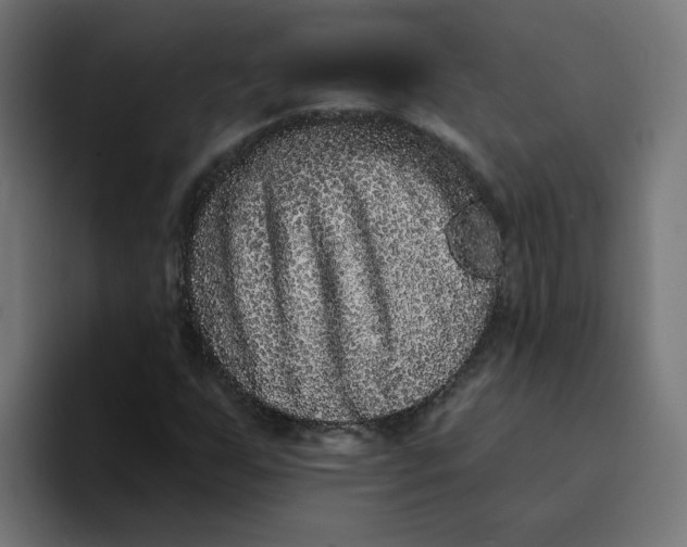 X0000094171255200711161701