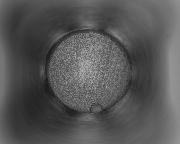 X0000094171259200711161701