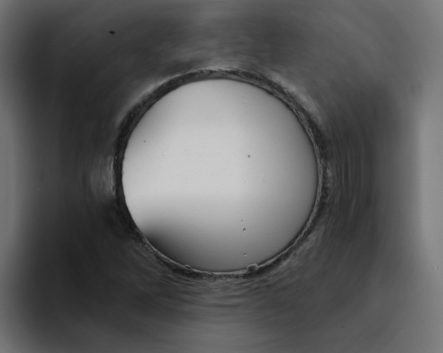 X0000094171262200711161701