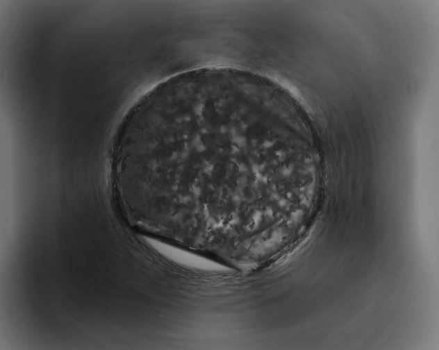 X0000094171263200711161701