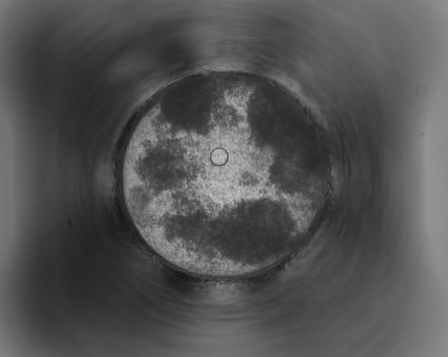 X0000094171266200711161701